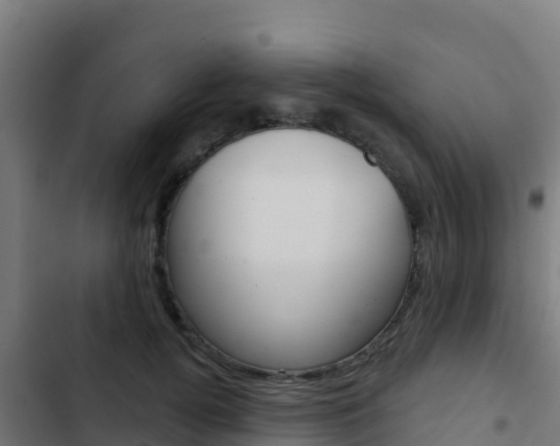 X0000103440752200809121101