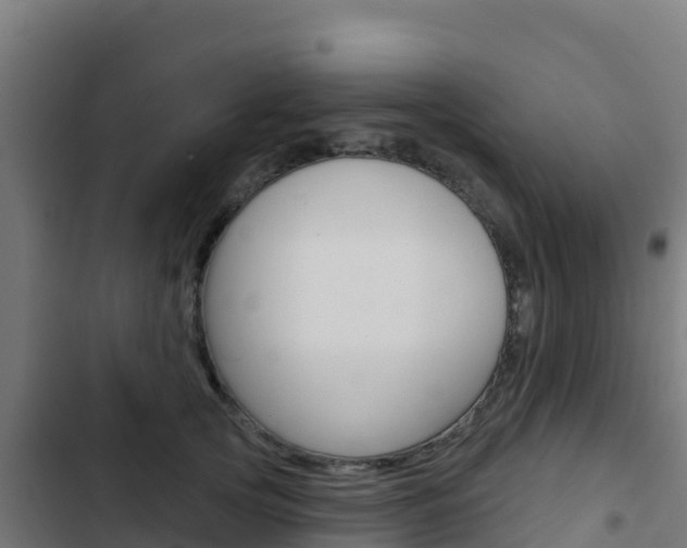 X0000103440753200809121101