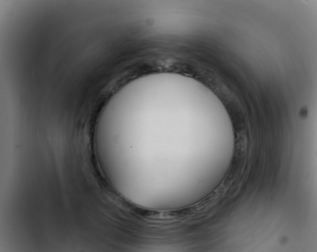 X0000103440754200809121101