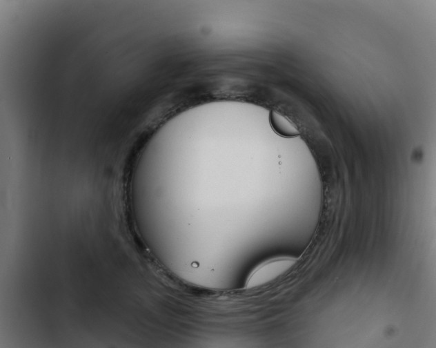 X0000103440755200809121101