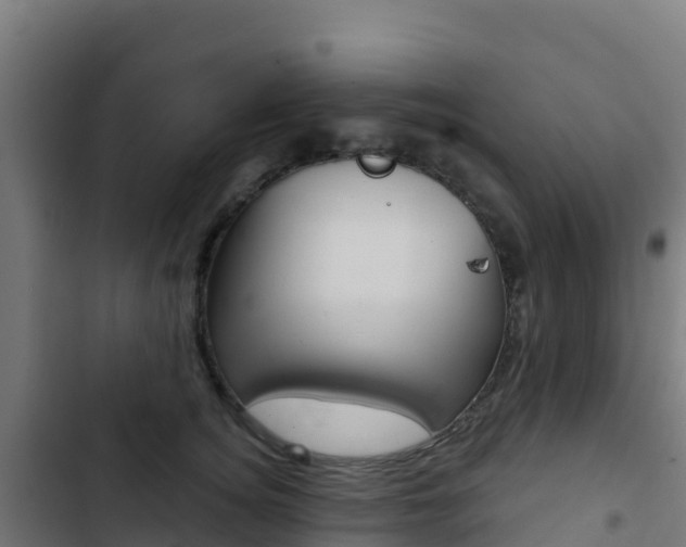 X0000103440756200809121101