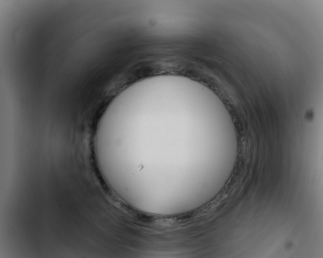 X0000103440757200809121101