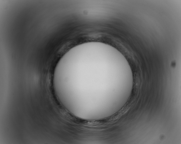 X0000103440758200809121101