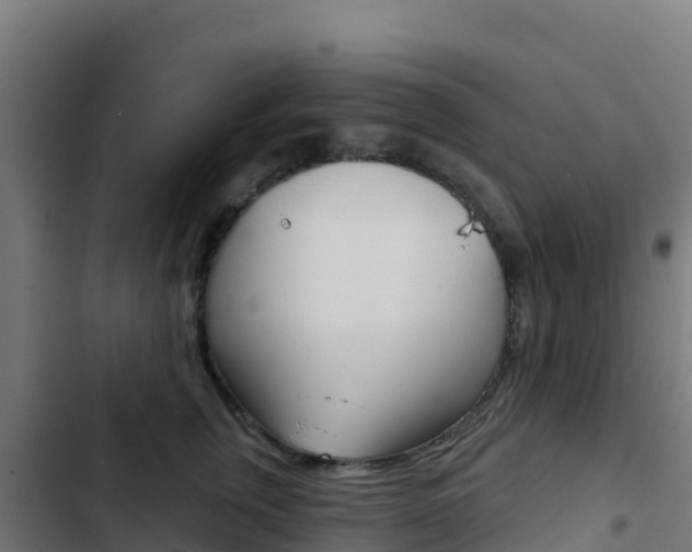 X0000103440759200809121101