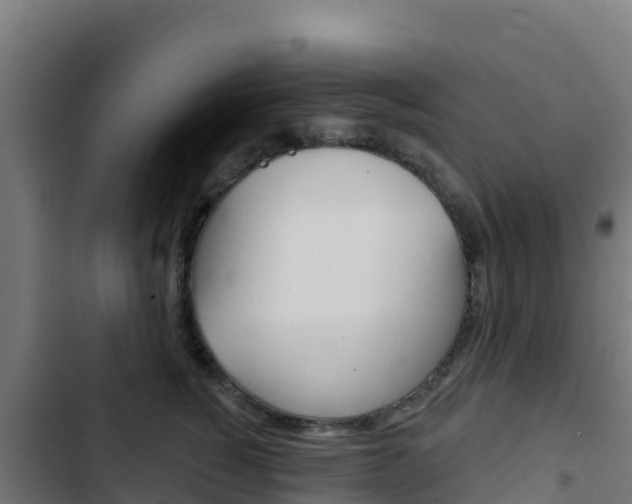 X0000103440760200809121101