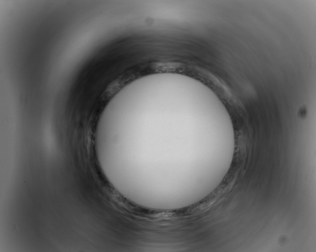 X0000103440761200809121101
