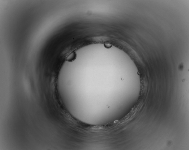 X0000103440762200809121101