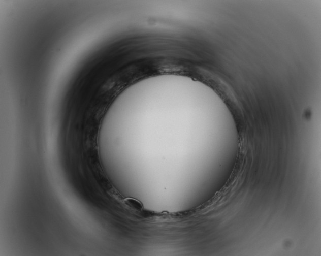 X0000103440763200809121101