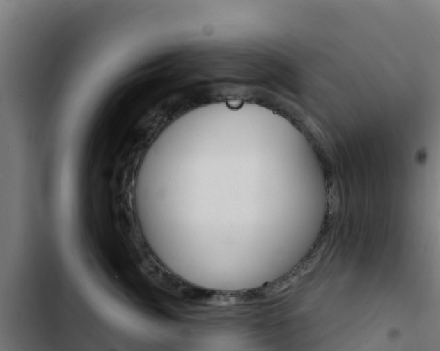 X0000103440764200809121101