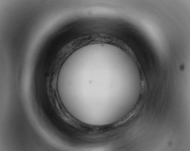 X0000103440765200809121101