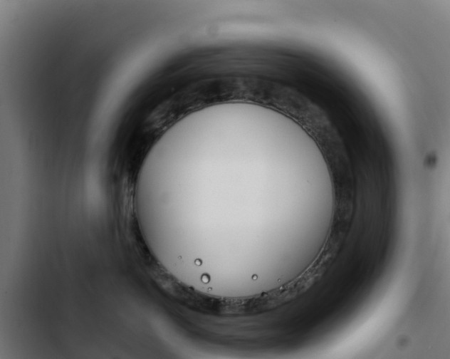 X0000103440766200809121101