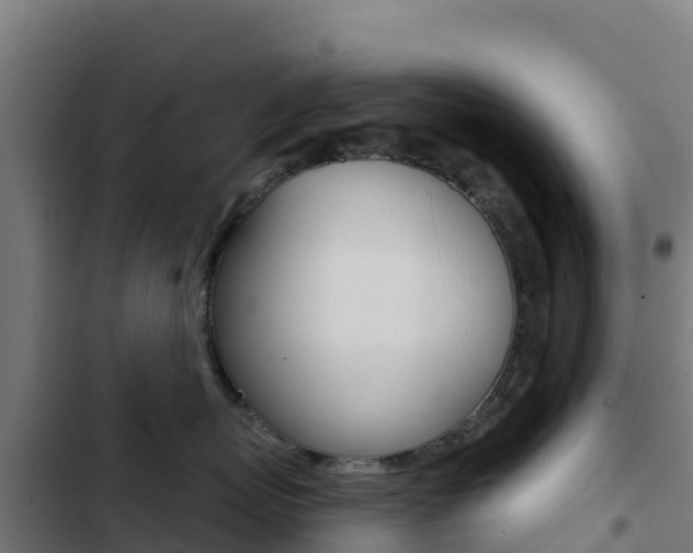 X0000103440767200809121101