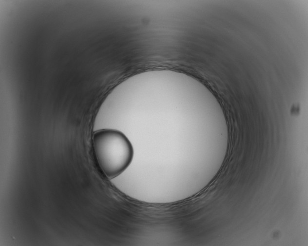X0000103440768200809121101