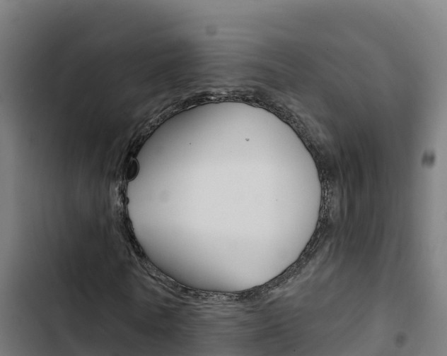 X0000103440770200809121100
