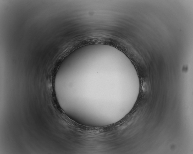 X0000103440771200809121100