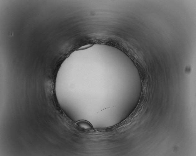 X0000103440772200809121100