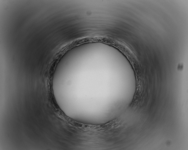 X0000103440773200809121100