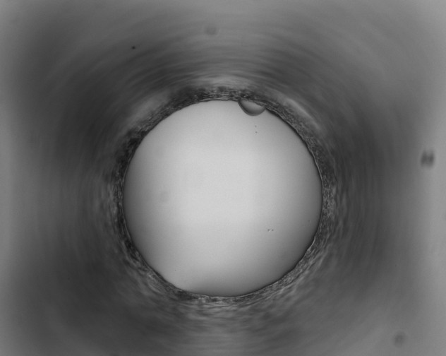 X0000103440774200809121100