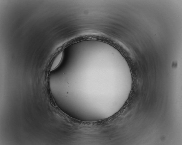 X0000103440775200809121100