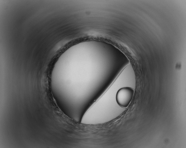 X0000103440776200809121100