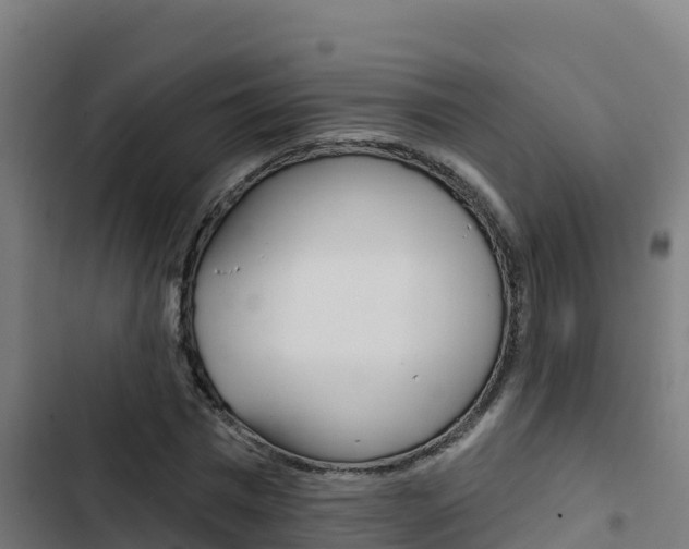 X0000103440777200809121100