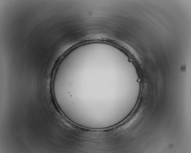 X0000103440778200809121100