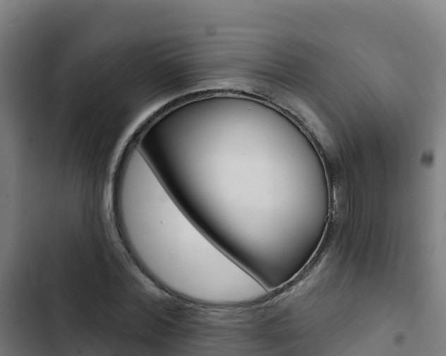 X0000103440780200809121100