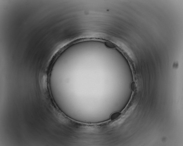 X0000103440781200809121100
