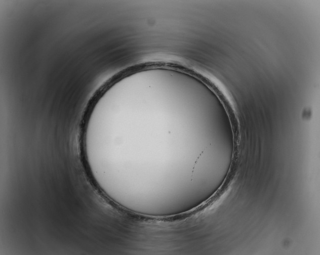 X0000103440783200809121100