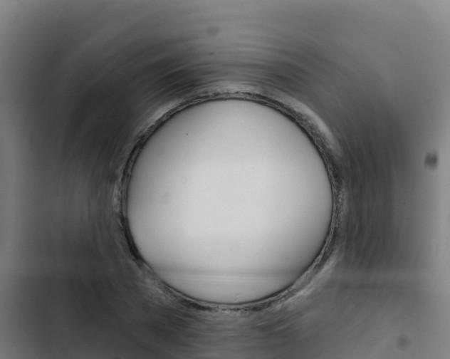 X0000103440785200809121100