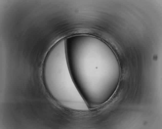 X0000103440786200809121100