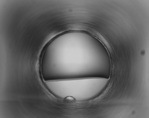 X0000103440787200809121100