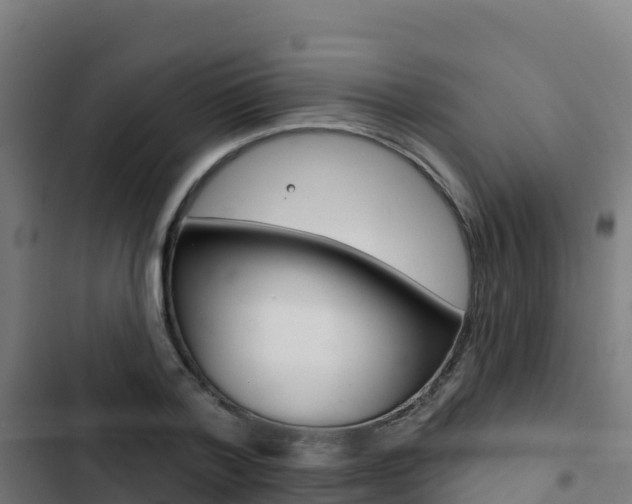 X0000103440788200809121100