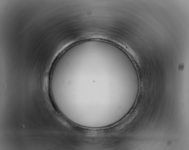 X0000103440790200809121100
