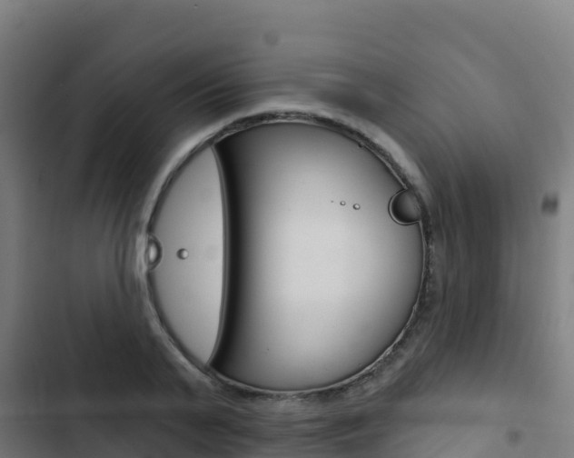 X0000103440791200809121100