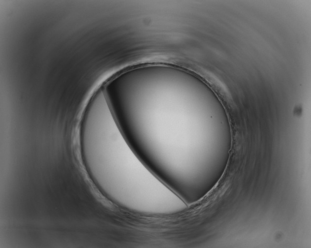 X0000103440792200809121100