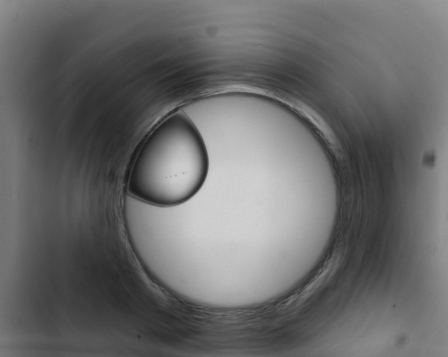 X0000103440793200809121100