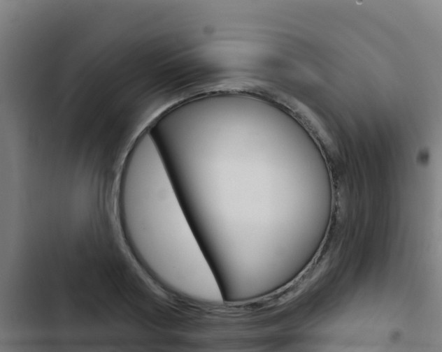 X0000103440794200809121100