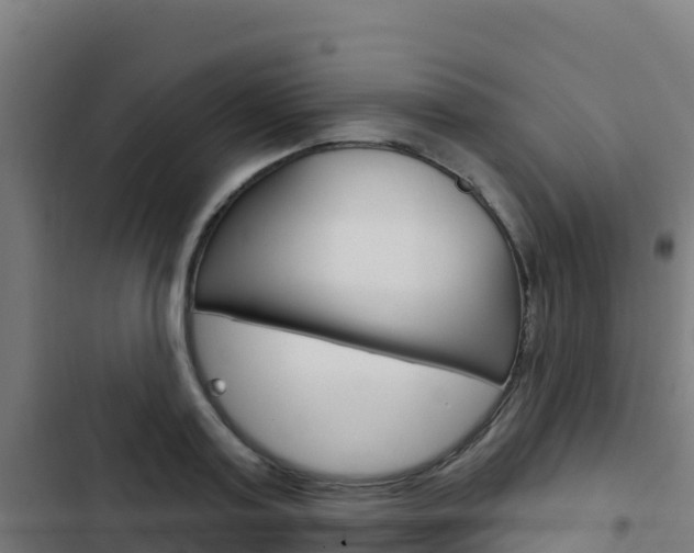 X0000103440795200809121100