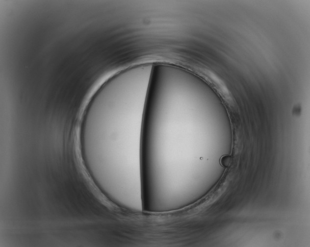 X0000103440796200809121100