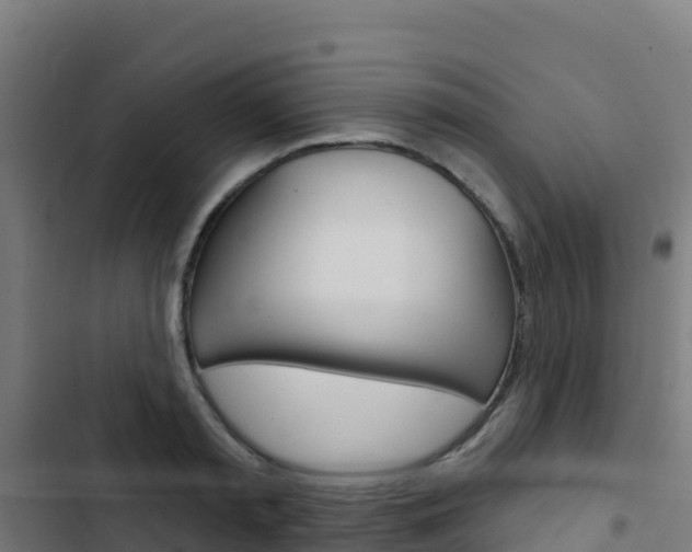 X0000103440797200809121100