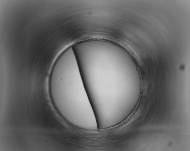 X0000103440798200809121100