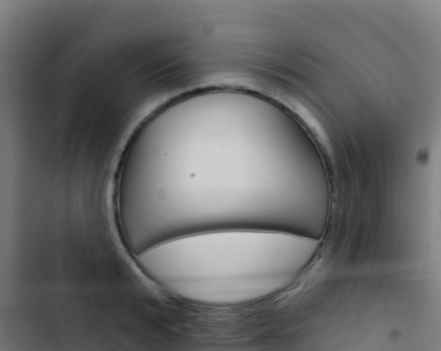 X0000103440799200809121100