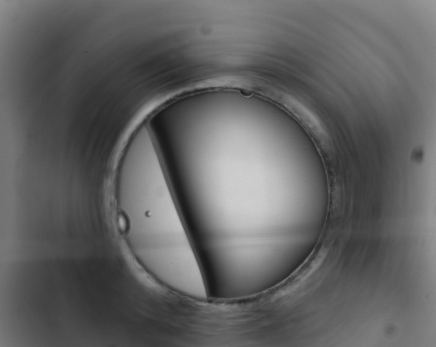 X0000103440800200809121100