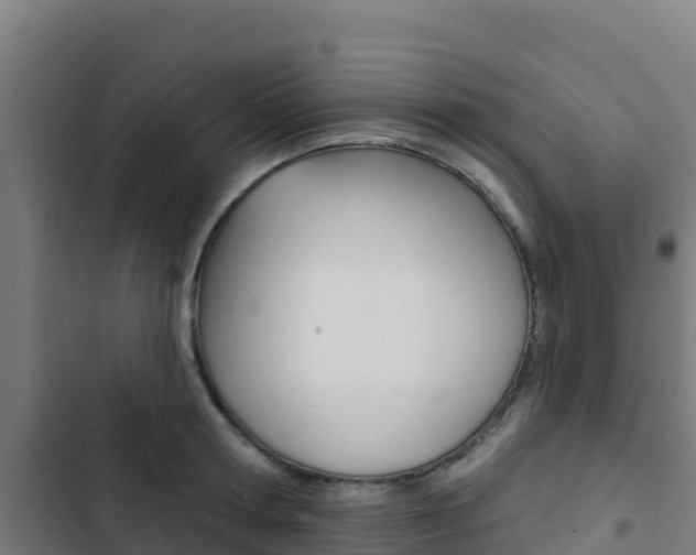 X0000103440802200809121100