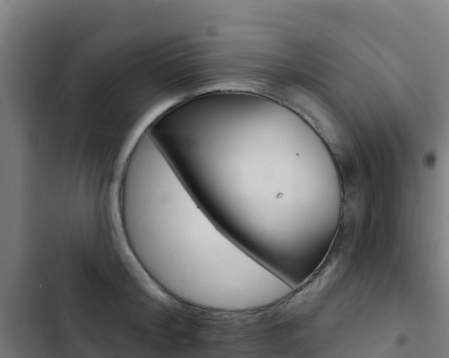 X0000103440804200809121100