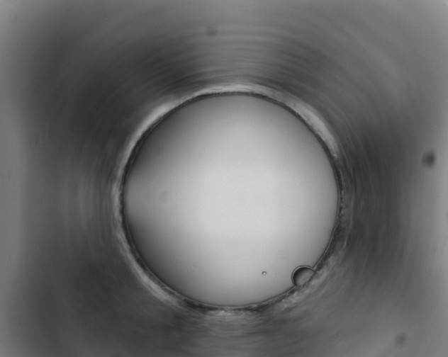 X0000103440805200809121100