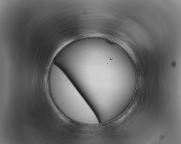 X0000103440806200809121100
