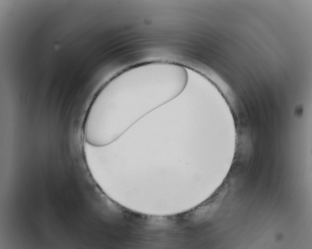 X0000103440807200809121100