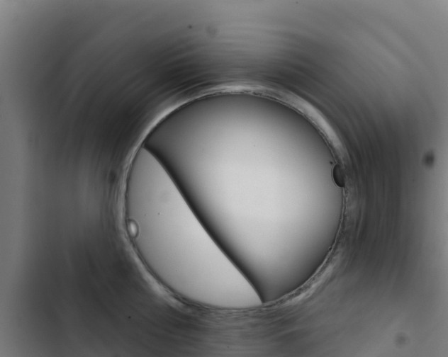 X0000103440810200809121100